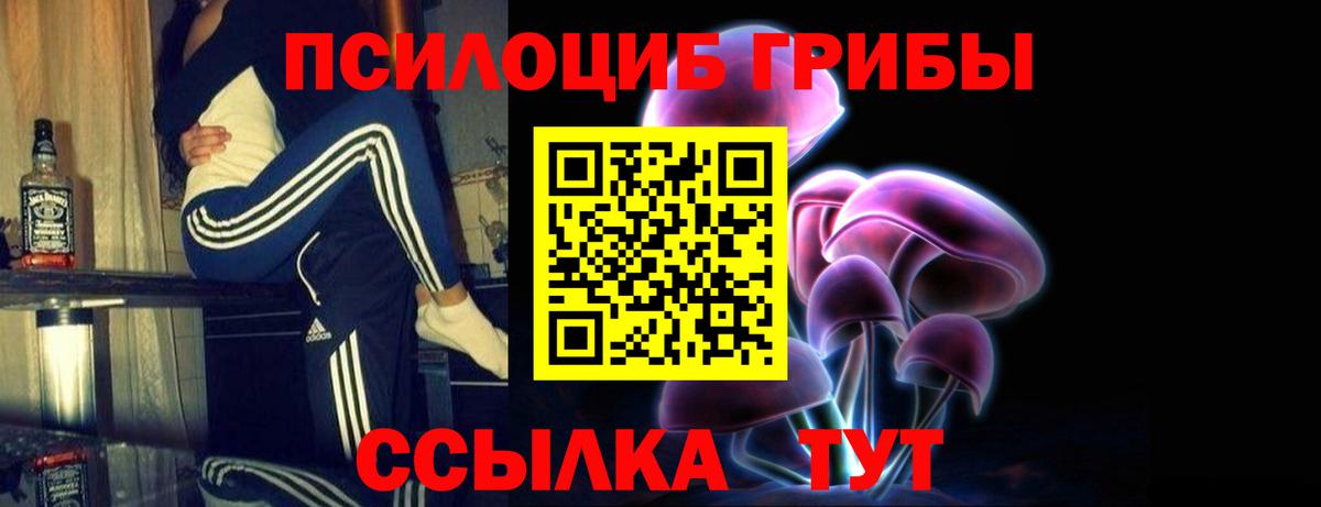 Псилоцибиновые грибы Psilocybe  Вход с VPN  Новомосковск 